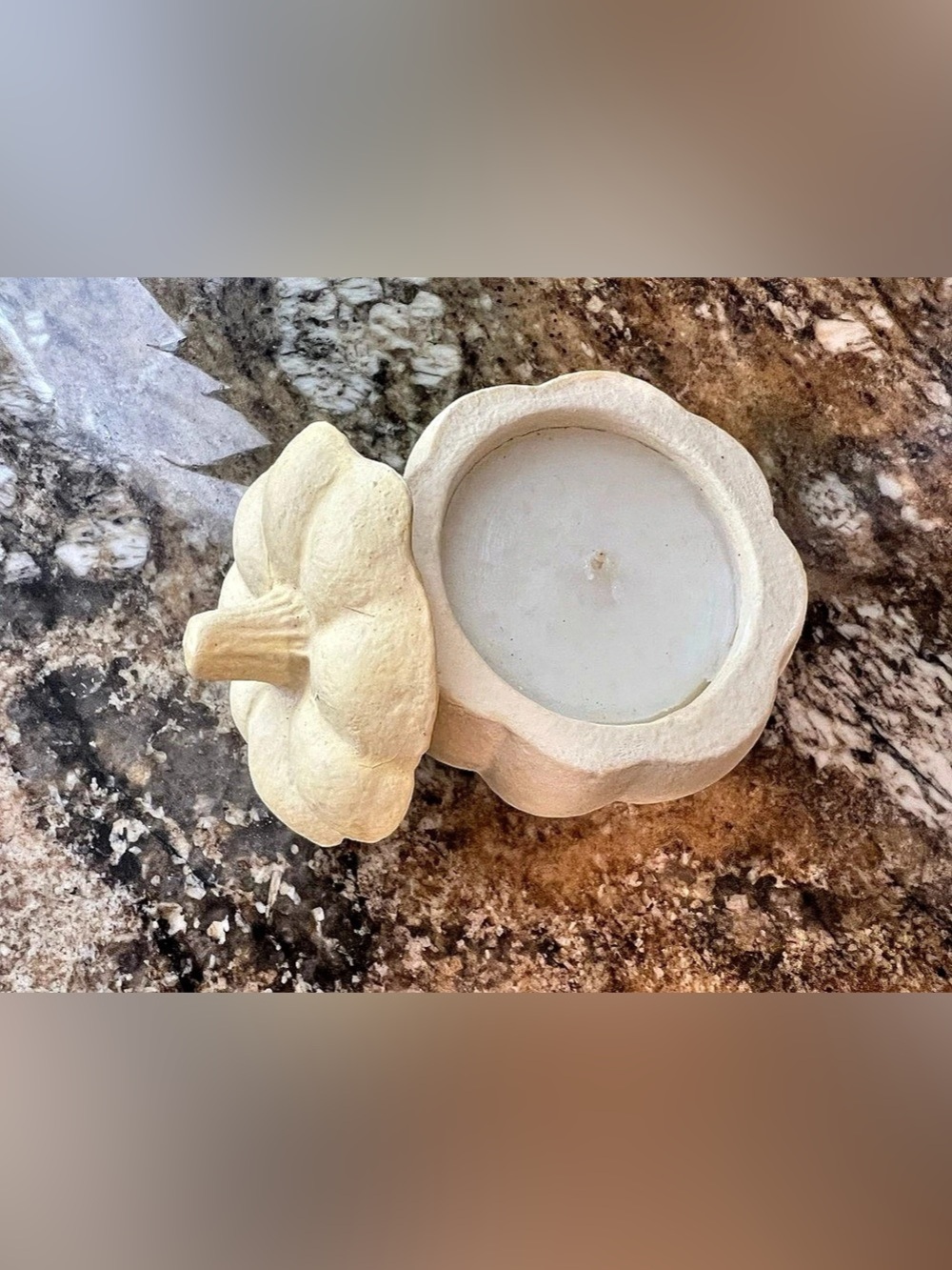 Anthropologie Terrain Pumpkin Cardamom Scented Candle in Cream